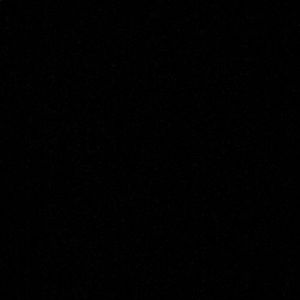 Meet your Posher, Dennis